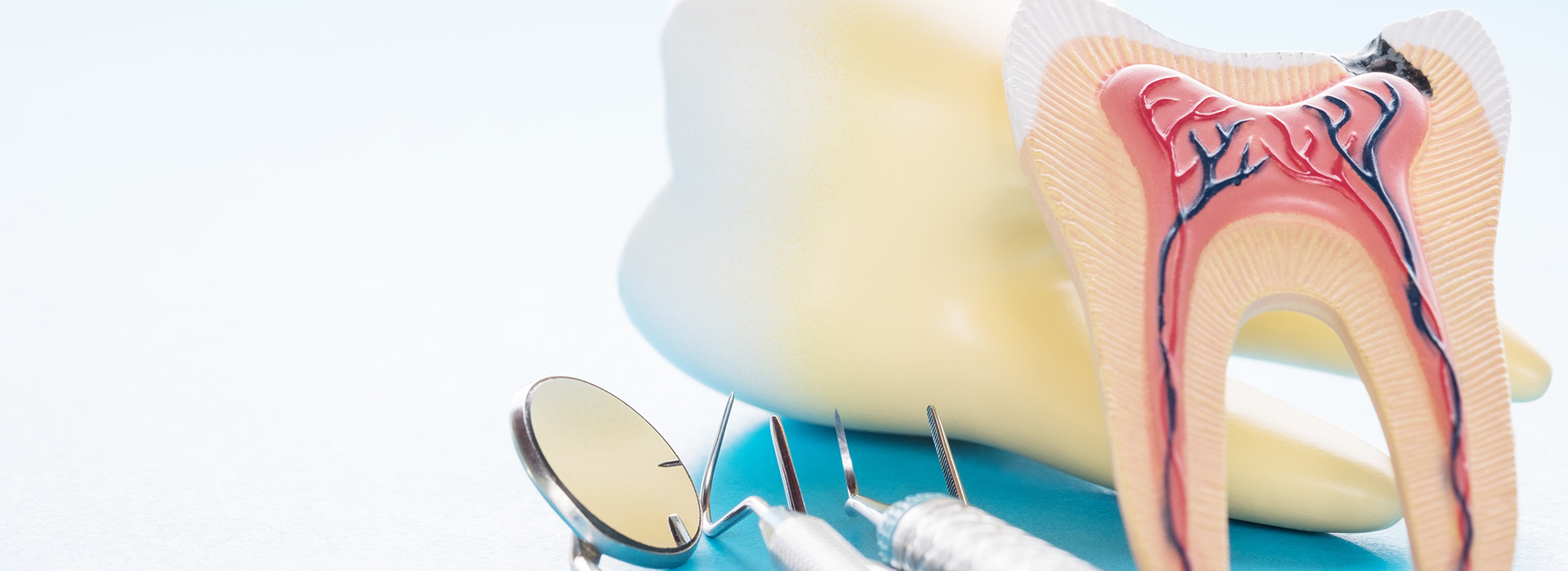 The image shows a toothbrush, a toothpaste tube, and dental floss next to an illustration of a human mouth with teeth and gums.